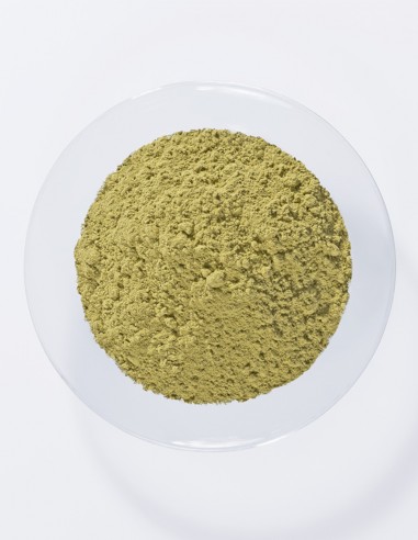 Henna Neutra (Senna/Cassia) Khadi