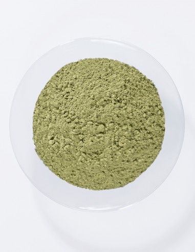 Negru Indigo Khadi - vopsea de par naturala