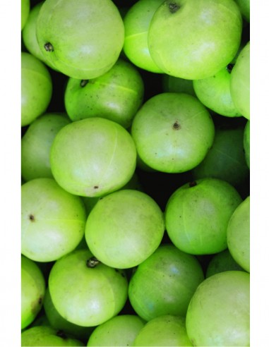 Pudra de Amla Khadi - tratament pentru par