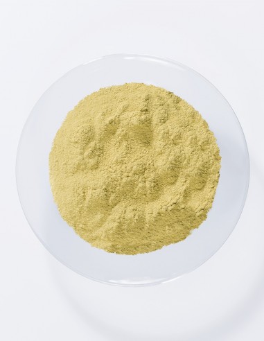 Henna Golden Blond Vopsea de par Khadi