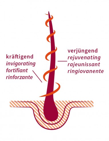 Ulei cu Amla anticadere par, 50ml - Khadi