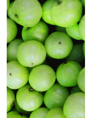 Masca Deep Charcoal - Khadi - Amla