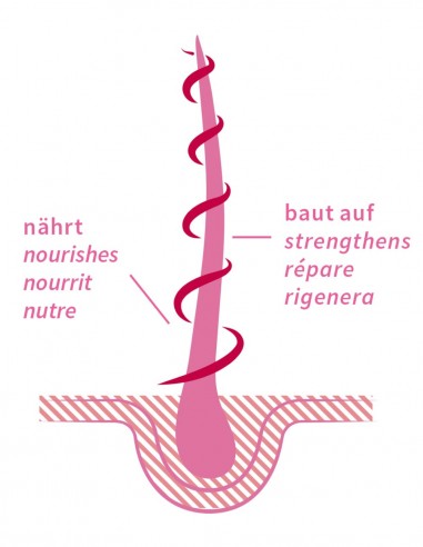 Ulei reparator par cu trandafir, 50ml - remedii