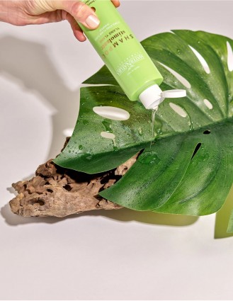 Sampon anticadere cu ylang ylang, 250ml - Maternatura