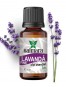Ulei de Lavanda Fina, 10ml - Saimara Ulei de Lavanda Fina, 10ml - Saimara