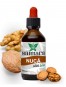 Ulei de Nuca Bio, 100ml - Saimara Ulei de Nuca Bio, 100ml - Saimara