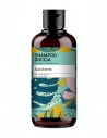 Sampon si gel de dus Rainforest, 500ml – Family Bioearth