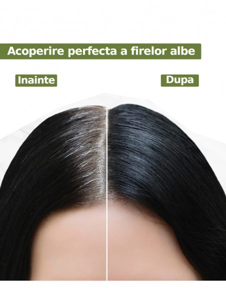 Vopsea henna gel fara amoniac Negru 1.0 Indus Valley