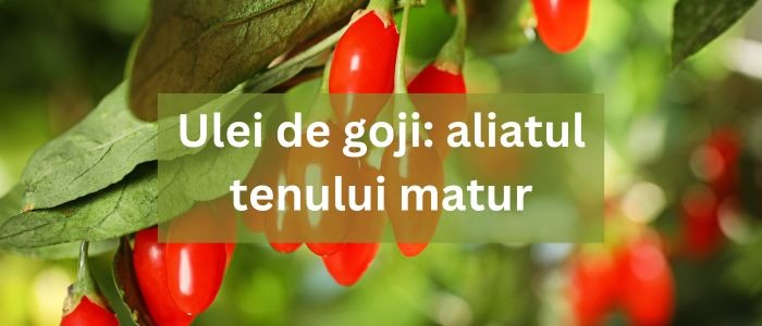 Ulei de goji pentru piele: aliatul tenului matur