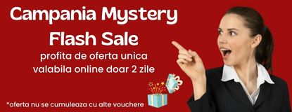 Mystery Flash Sales